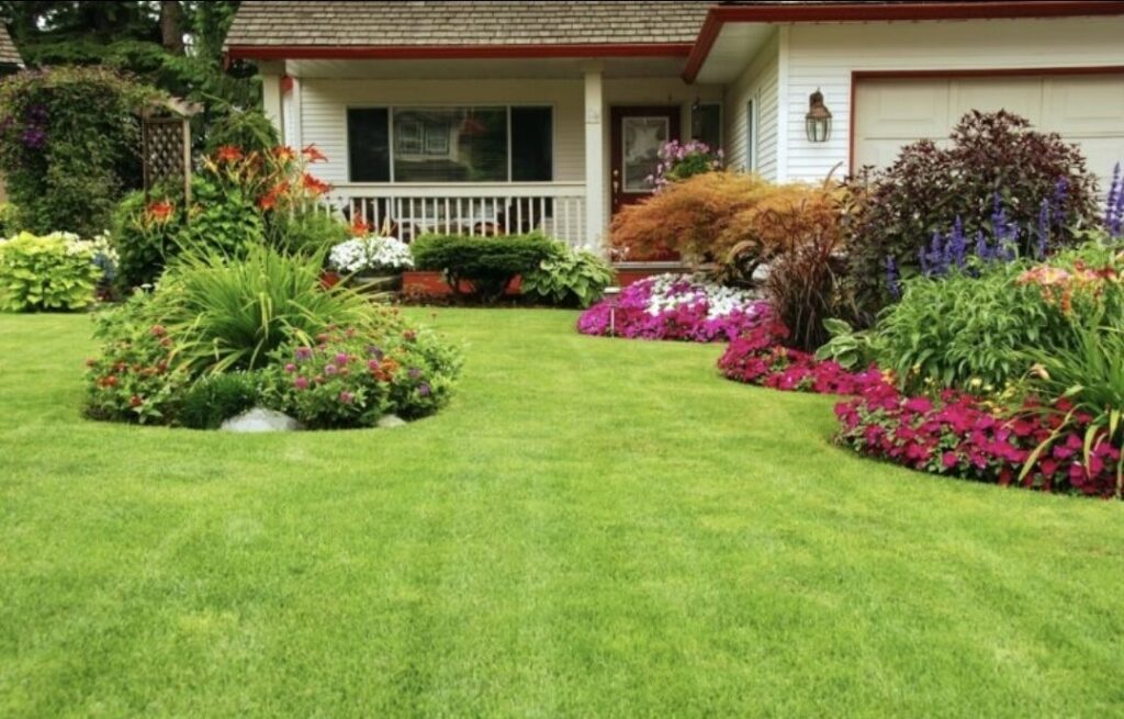 Réussir sa pelouse : conseils d’experts et erreurs à éviter