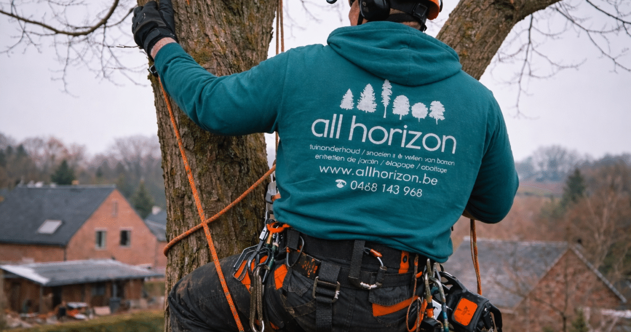 élagage arbre en hiver