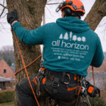 élagage arbre en hiver