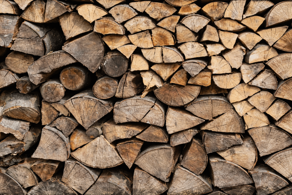 Que faire du bois après l’abattage d’un arbre ?